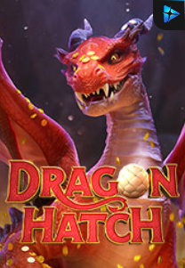 Dragon Hatch