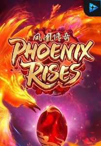 Phoenix Rises